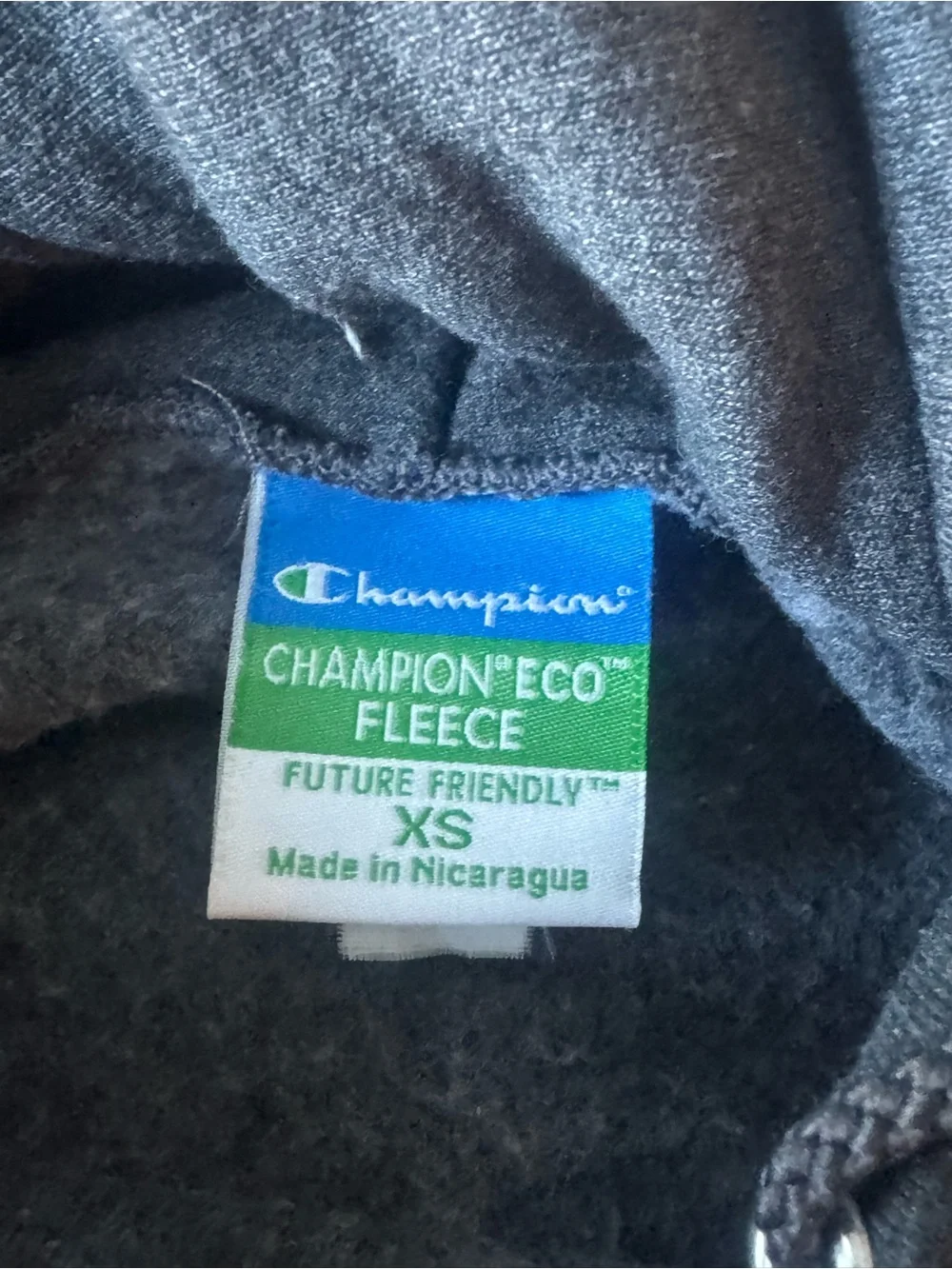 Champion pullover hoodie